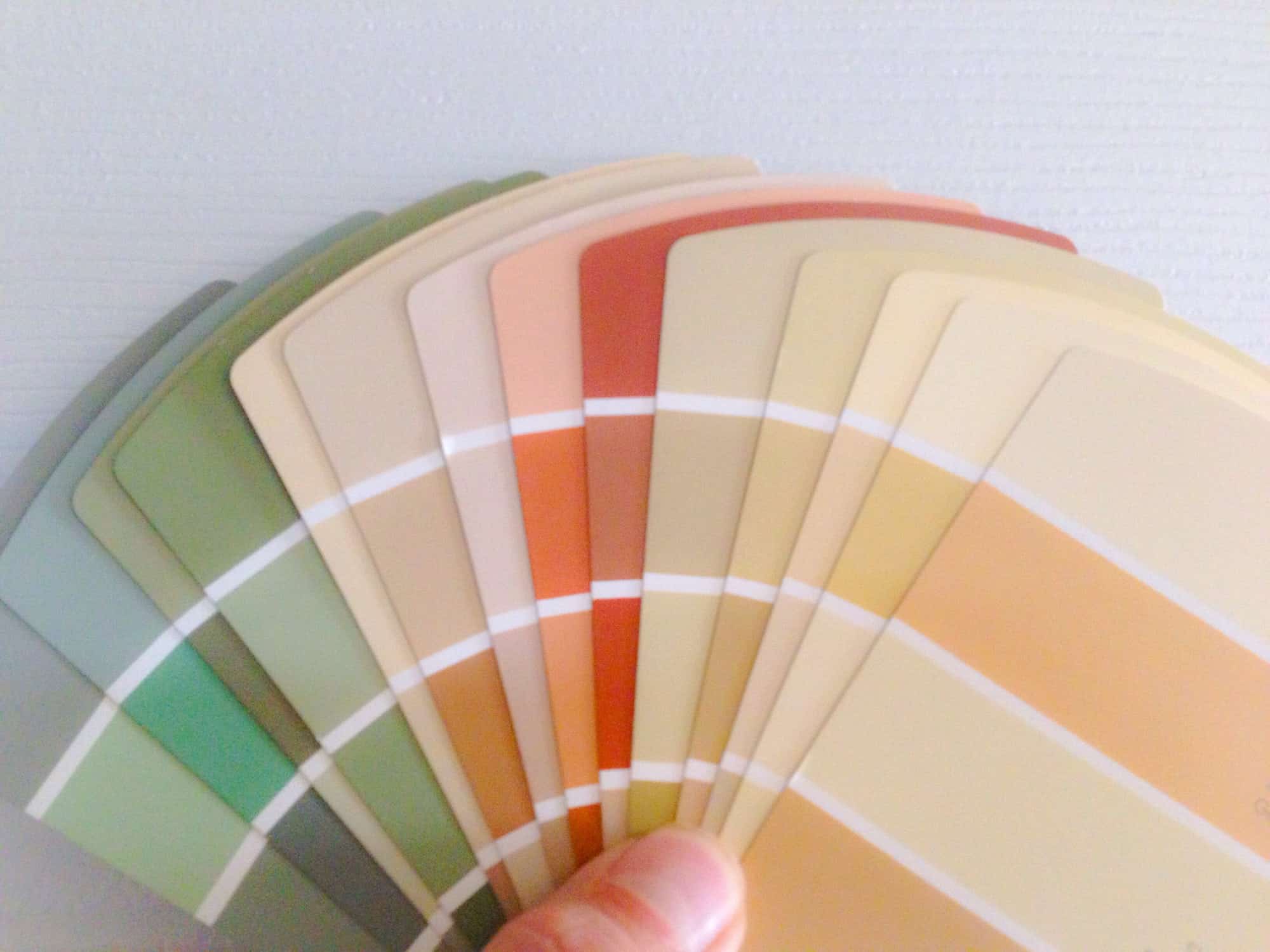Commercial painting color selection Tampa